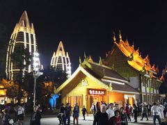 -纳兰傣雀傣味餐厅