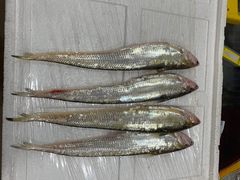 -东方国际水产中心