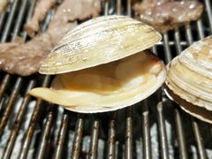 正宗丹东黄蚬子-那贝勒·东北烧烤溜达串(大桥南路店)