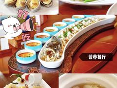 -汤臣倍健透明工厂景区