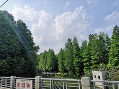 -小菜园新徽菜(常州武进吾悦店)