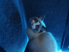 -零纪元VR体验馆·桌游(黄浦店)