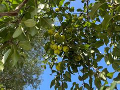 -张掖大佛寺景区