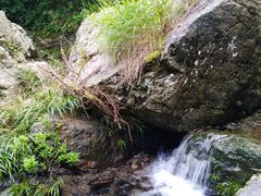 -夏霖九天银瀑风景区