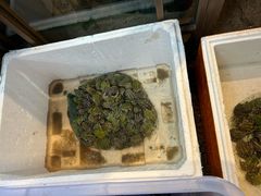 -洞庭土菜馆(天河北总店)