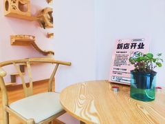 -猫咪派对(江南西店)