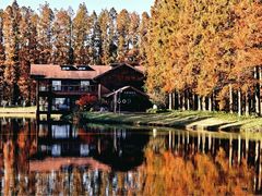 -黄海国家森林公园