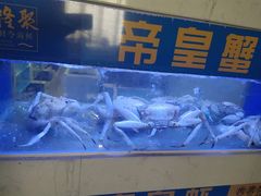 水产区-隆聚·时令海鲜(洪兴店)