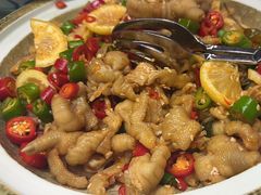 -凯菲厅海鲜姿造·海鲜自助·帝王蟹·龙虾(成都群光君悦酒店)