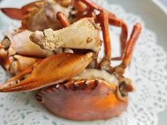 -鑫悦楼煎蟹·16年海鲜大排档