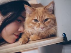 -飞行喵MR PILOT|猫舍·猫咖(静安大融城店)