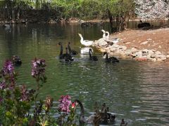 -长白岛森林公园