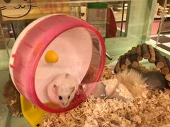 -龙猫仔乐园(惠福东路店)