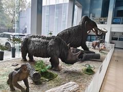 -中国第四纪冰川遗迹陈列馆