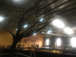 -北京当代芭蕾舞团·艺术中心