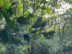-福田红树林生态公园