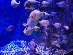 -多彩贵州城极地海洋世界