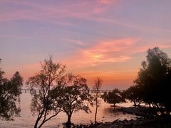 -宝安西湾红树林湿地公园