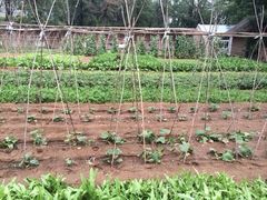 寺里的小庄园-龙泉寺