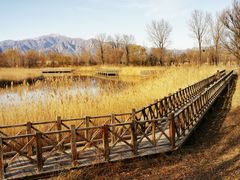 -野鸭湖国家湿地公园
