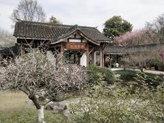 -杭州植物园