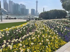 -北外滩滨江绿地