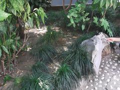 -龙华寺