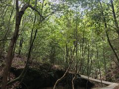 -鄣山大峡谷