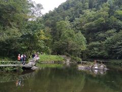-凤凰山国家森林公园