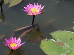 -芒洲湿地公园