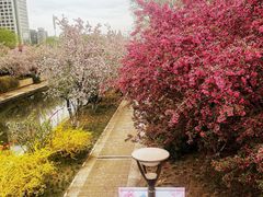 -海棠花溪(元大都城垣遗址公园)