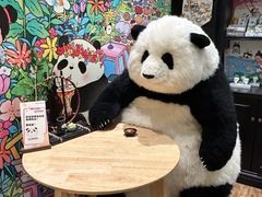 -轩客会(熊猫书店)