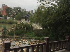 -金山公园