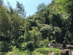 -山沟沟景区