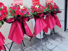 -淘花源花艺鲜花店 开业花篮 绿植(南部商务区店)
