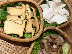 -滇野云南野生菌餐厅(陕西南路店)