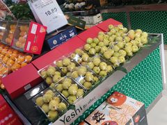 -叶氏兄弟果业(大连鲁迅店)