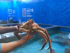 -盒马鲜生(宝地店)