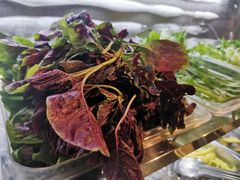 -恋羊时代黑山羊火锅(滨海大道店)