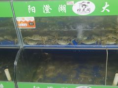 -阳澄湖大闸蟹·琼灵阁牌品牌连锁(吴中总店)