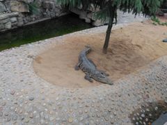 -石家庄市动物园