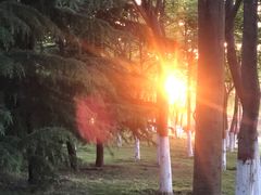 -洨河生态公园