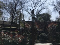 -旅马餐厅(茅家埠店)