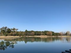 -上海佘山世茂艾美酒店