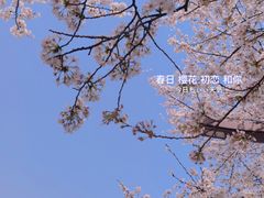 -堤角公园