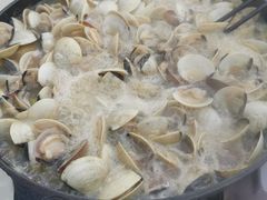 -顺德哥卜卜贝(旗舰店)