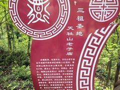 -老君山