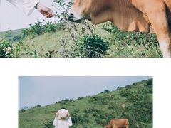 -大姆山草场