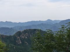 -大岭沟猕猴桃谷风景区