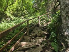 -王顺山国家森林公园